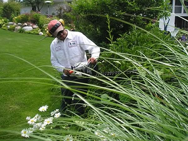  kalamazoo landscaping